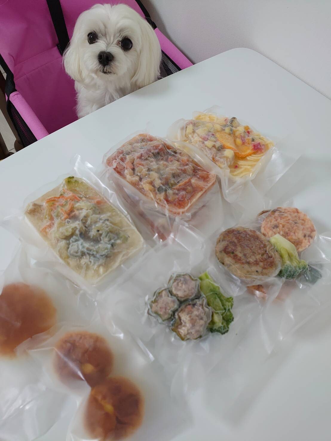 美味しいご飯の定期便 元保護犬 マルチーズとトイプードルの記録