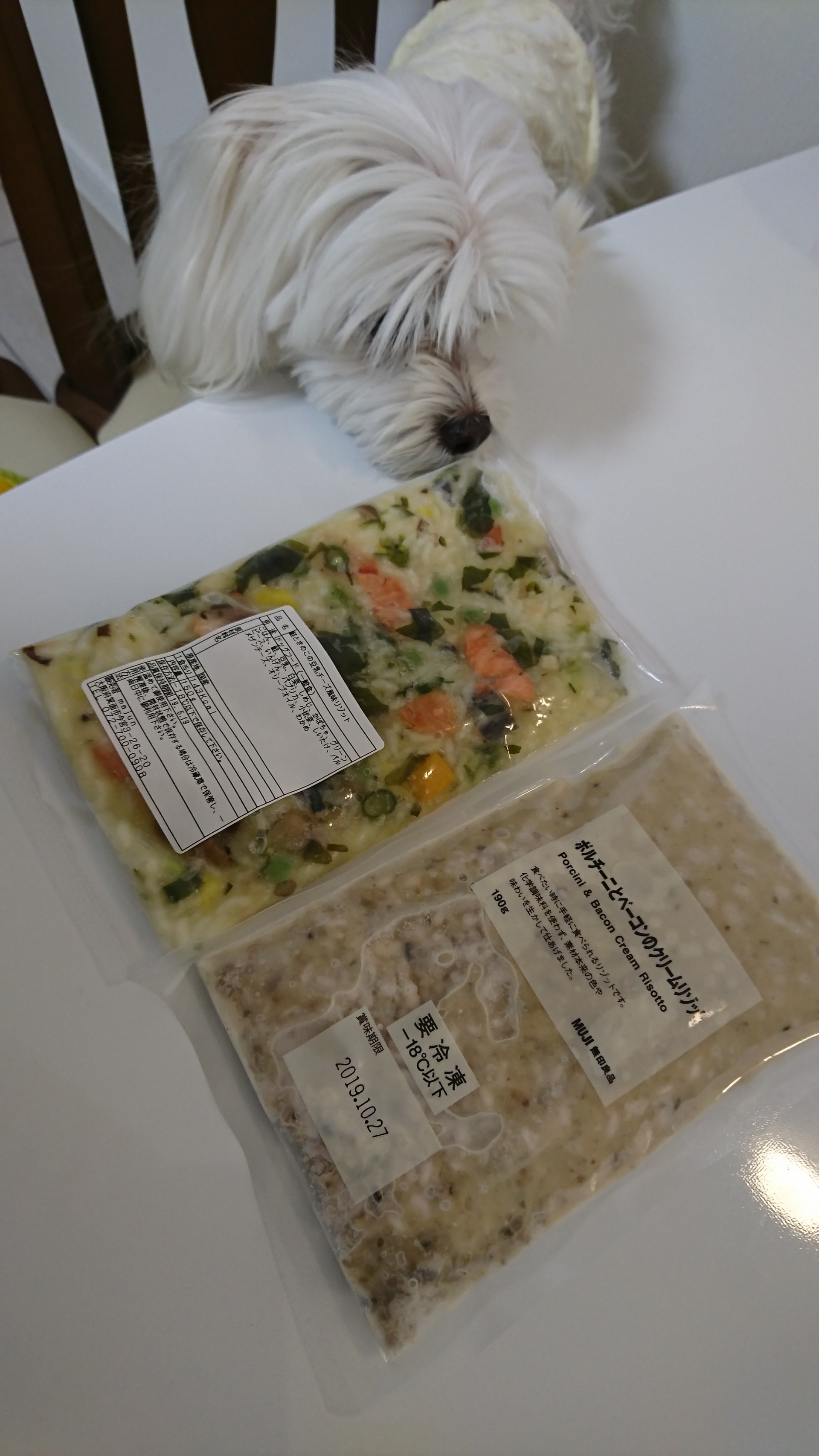わんこご飯 元保護犬 マルチーズとトイプードルの記録 わんこご飯 元保護犬 マルチーズとトイプードルの記録