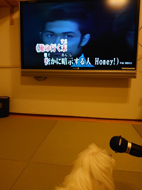 DSCPDC_0001_BURST20190811210553493_COVER