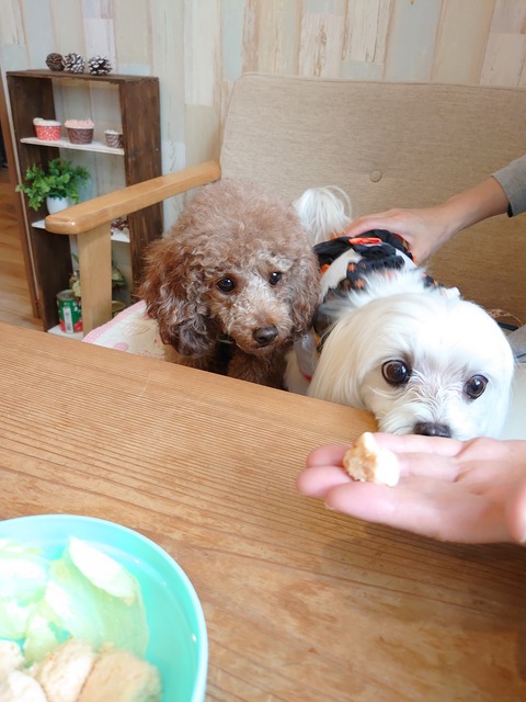 DSCPDC_0002_BURST20191022111945249