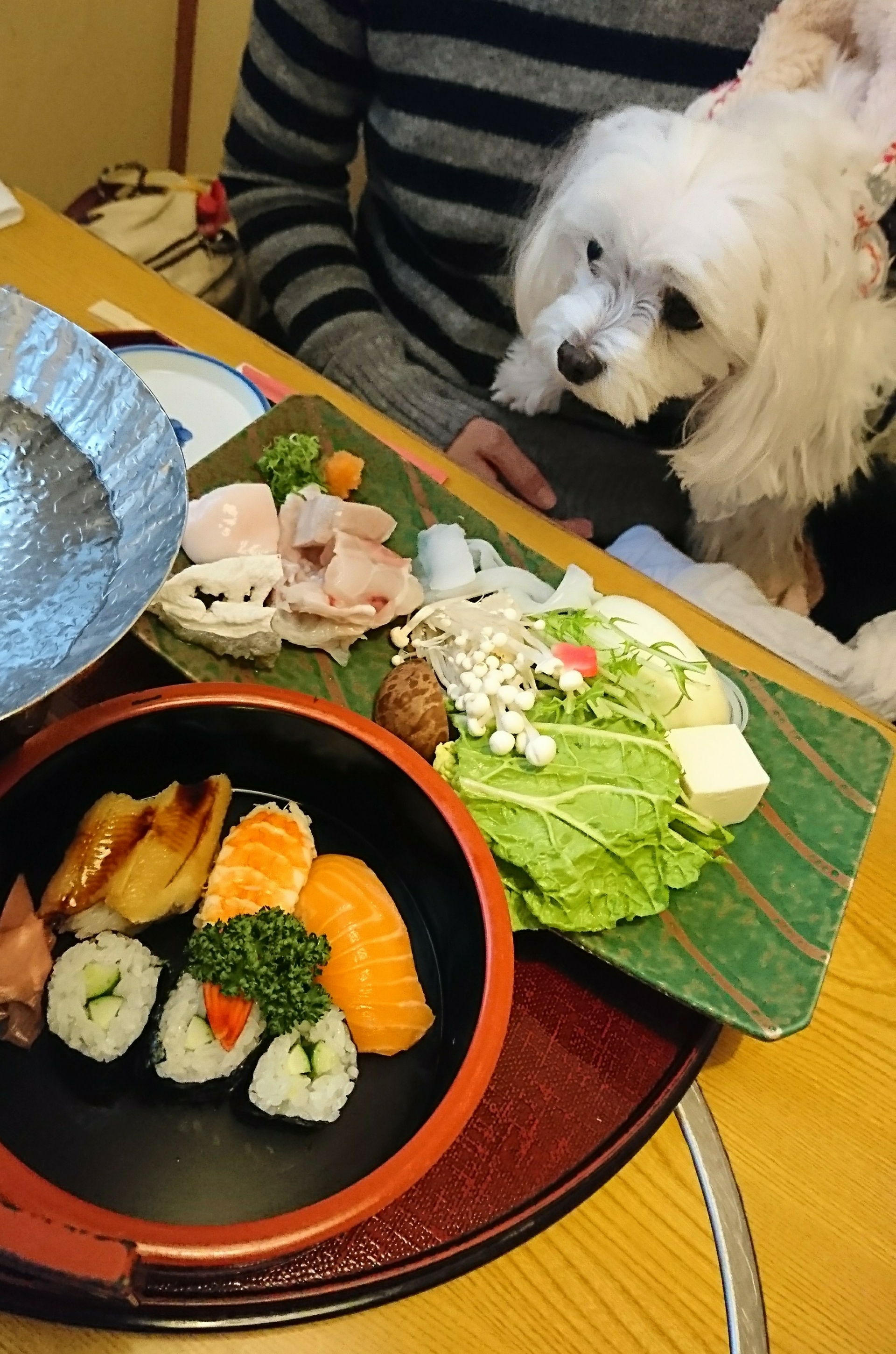 まるちゃんとお寿司 淡路島 まつば寿司 一部閲覧ご注意 元保護犬 マルチーズとトイプードルの記録