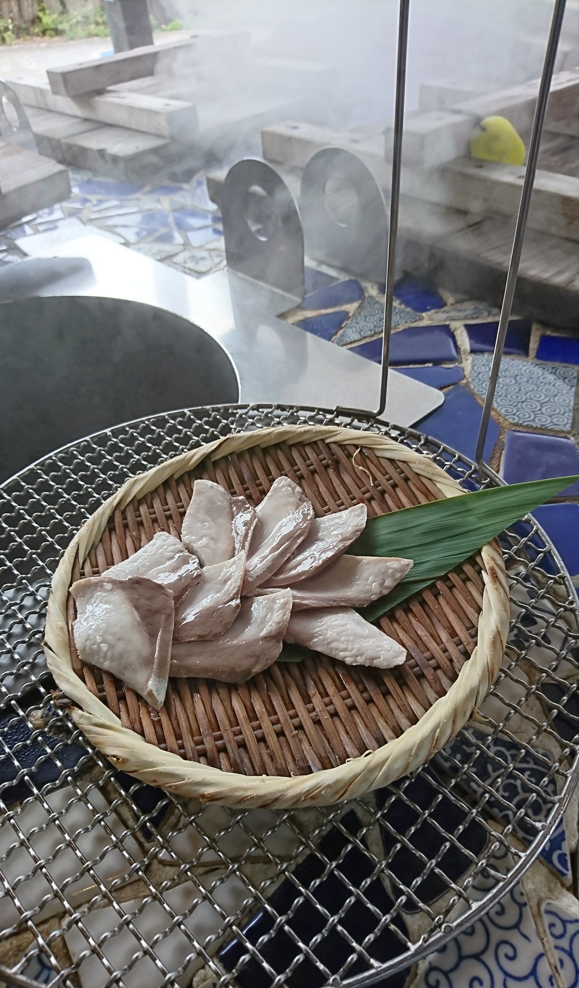 まるちゃんと別府温泉 わんこの宿 ゆるり 元保護犬 マルチーズとトイプードルの記録