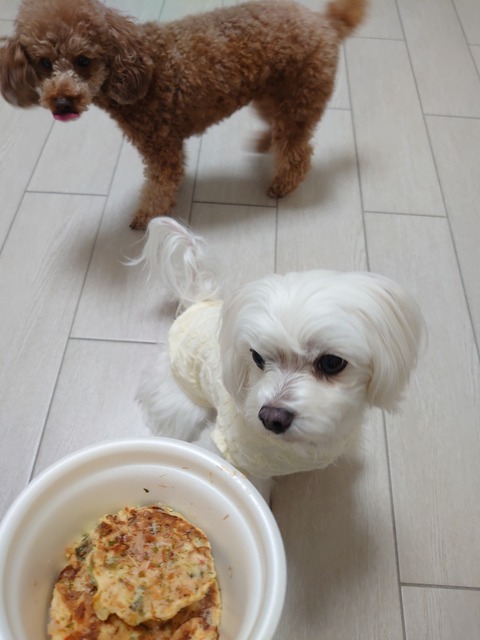 DSCPDC_0000_BURST20200329160753433