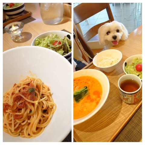 20190805_062539-COLLAGE