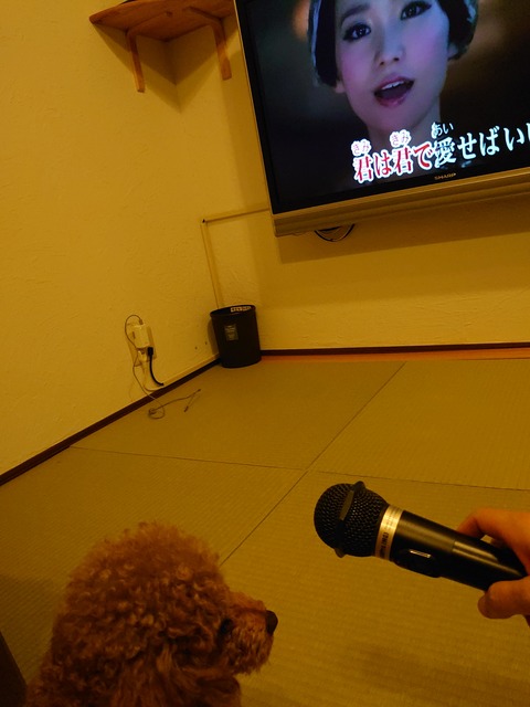 DSCPDC_0001_BURST20190811211205911_COVER