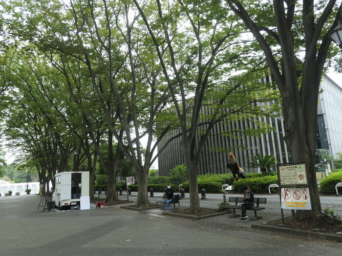 9 7 馬事馬事公苑一般開放の見学会に行ってきた 三道楽ノート 9 7 馬事馬事公苑一般開放の見学会に行ってきた 三道楽ノート