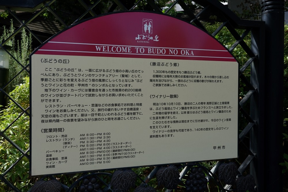 中央線 勝沼ぶどうの丘 から写真撮影 三道楽ノート