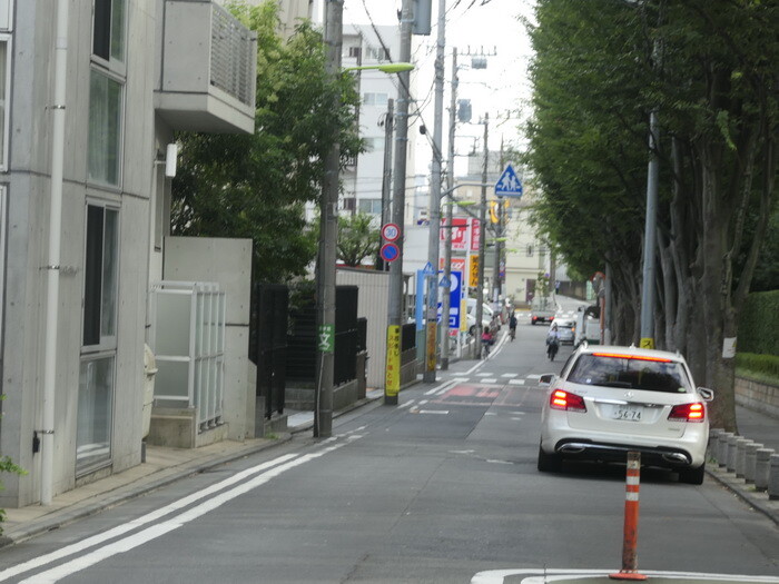 蛇崩川の上流部 谷頭を巡る 昭薬大 爺々池支流 三道楽ノート