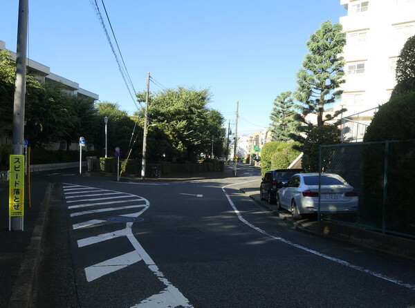 蛇崩川の上流部の 谷頭を巡る 婆々池本流ルート 三道楽ノート