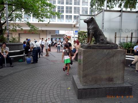 どうなる ハチ公 渋谷駅再開発工事 三道楽ノート どうなる ハチ公 渋谷駅再開発工事 三道楽ノート