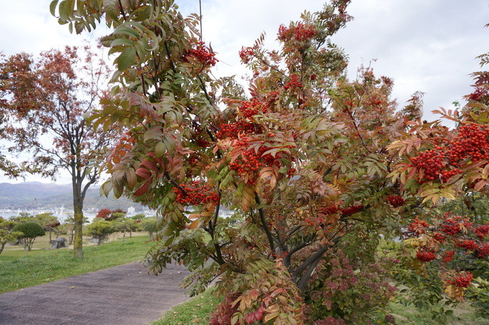軽便鉄道（原田泰治作） 軽便鉄道