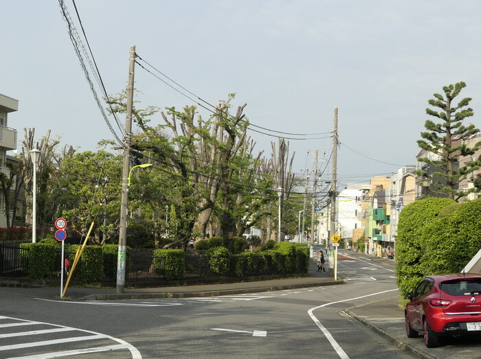 蛇崩川 流路跡を辿る 三道楽ノート
