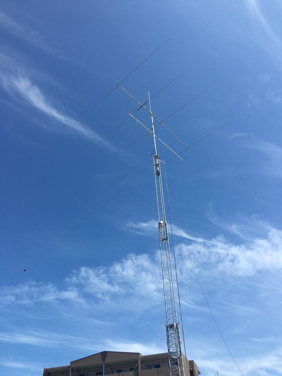 イメージ 1