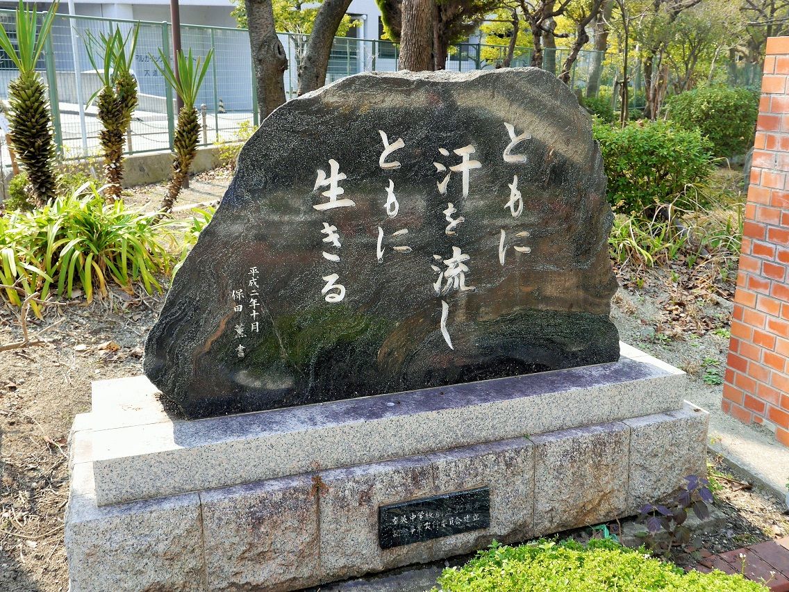 イメージ 24