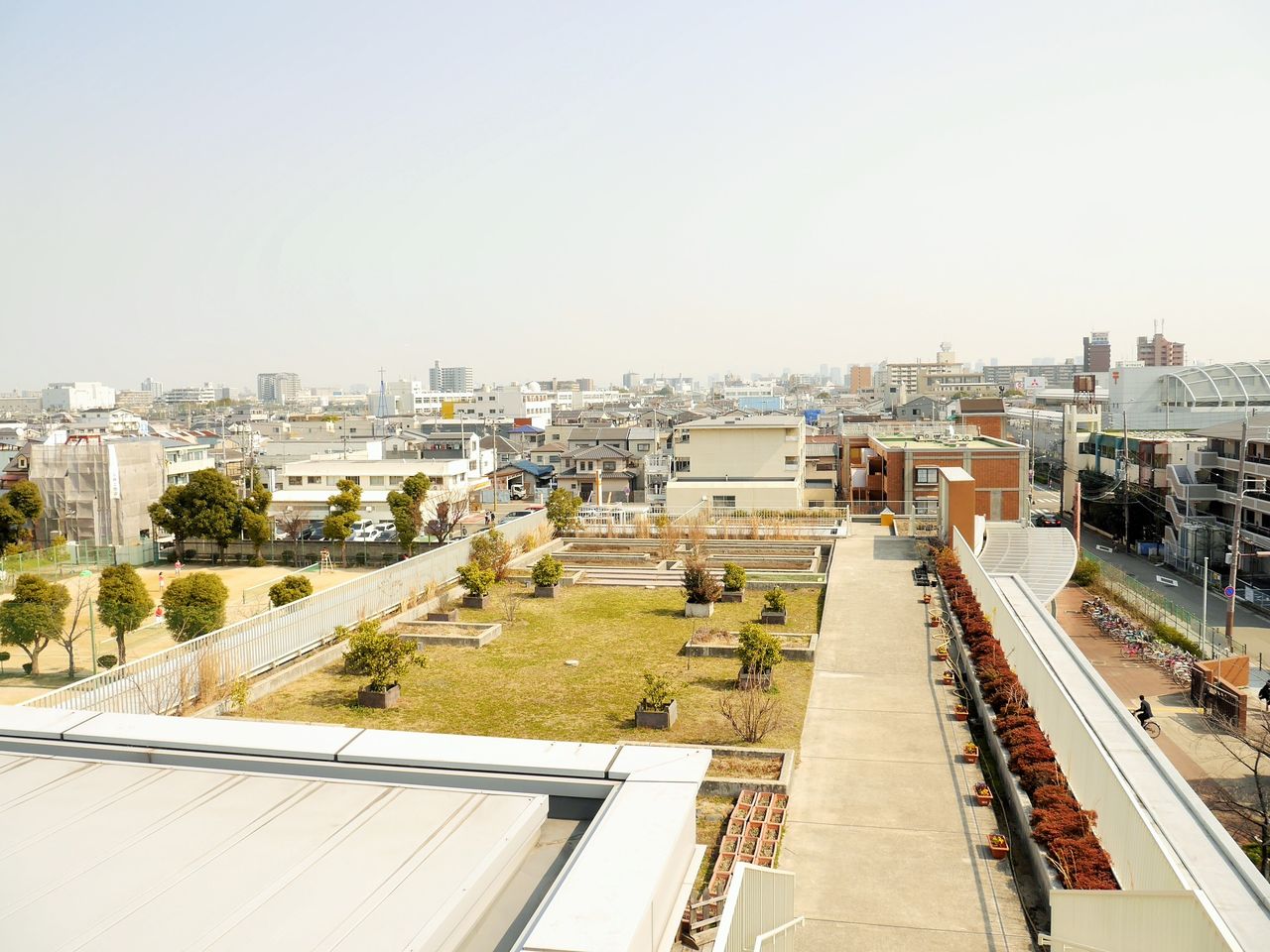 イメージ 17