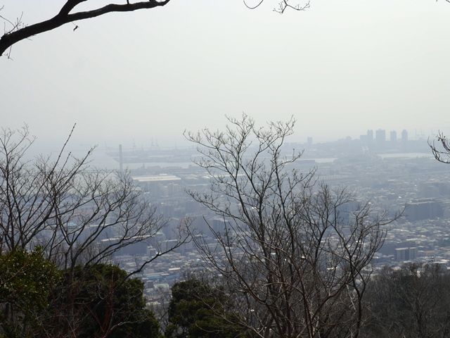 イメージ 10