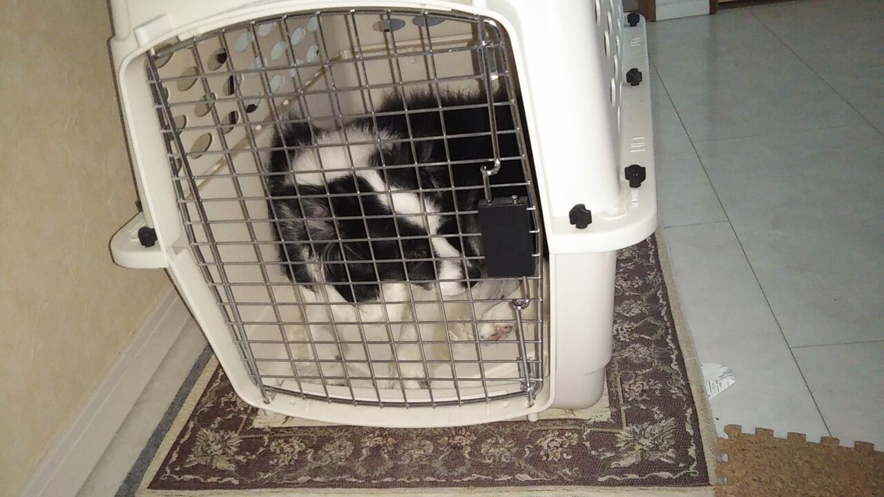 これだったのか Beeとの三秒ルール