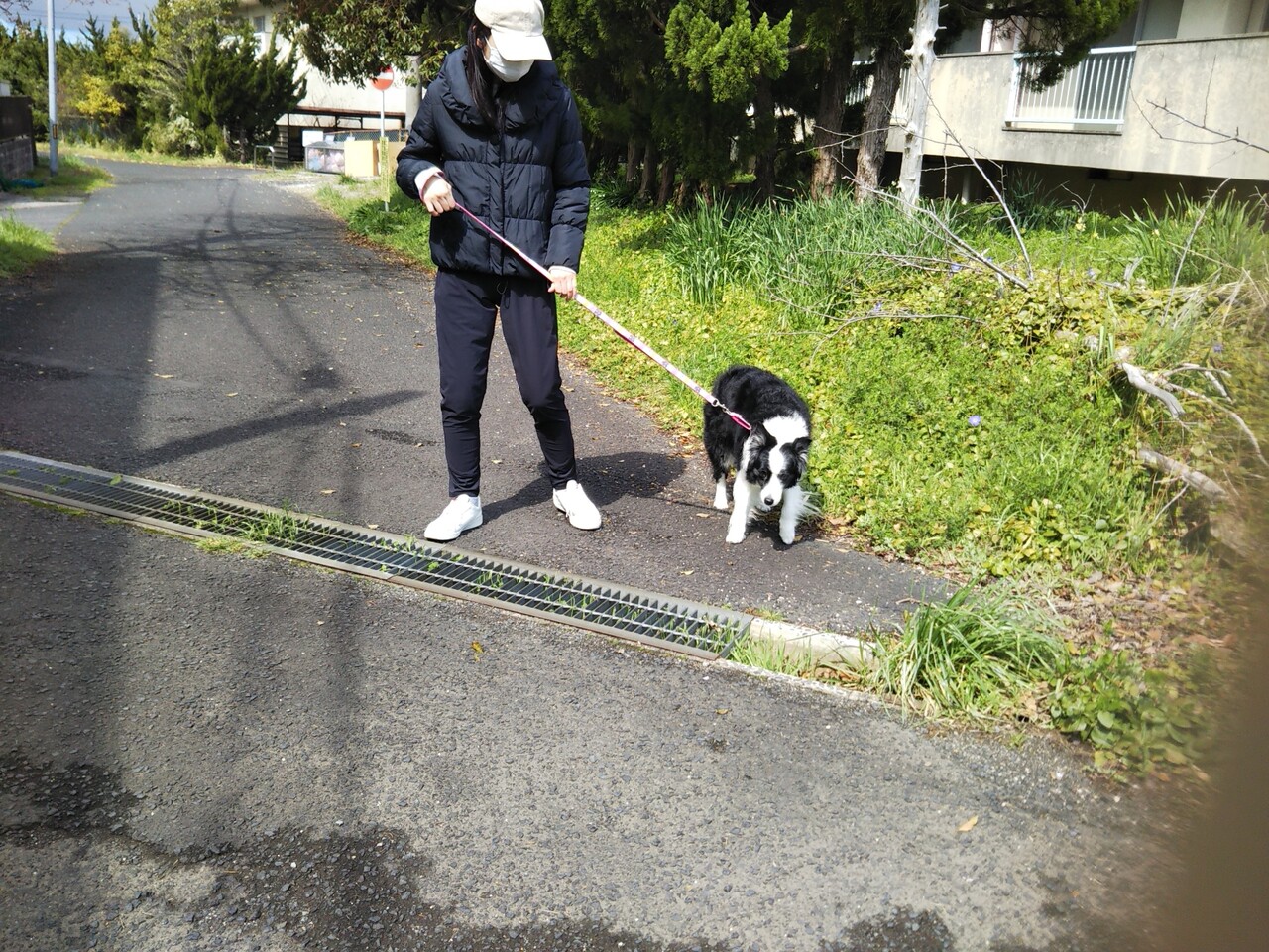 イヤイヤ期 Beeとの三秒ルール