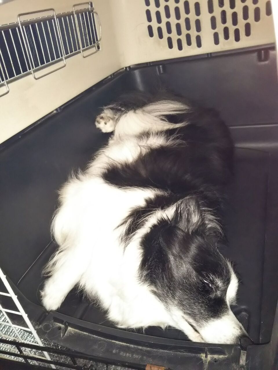 これだったのか Beeとの三秒ルール