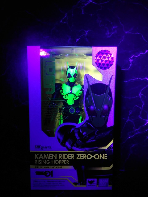 KAMEN RIDER ZERO-ONE RISING HOPPER 24