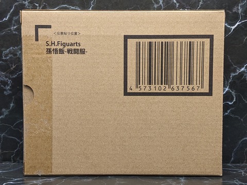 SON GOHAN -BATTLE CLOTHES- 06