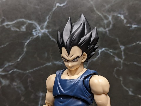 VEGETA SUPER HERO 11