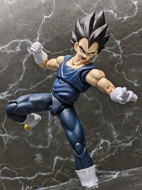 VEGETA SUPER HERO 24