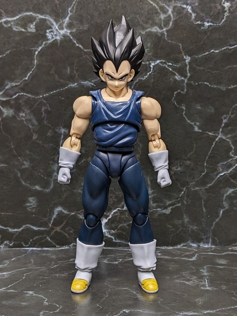 VEGETA SUPER HERO 06