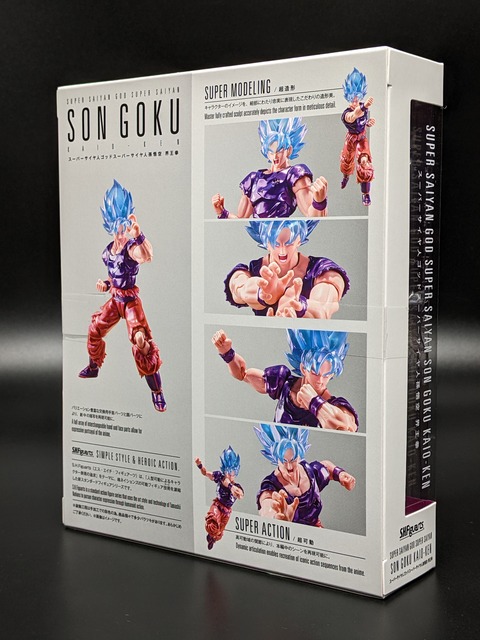 SUPER SAIYAN GOD SUPER SAIYAN SON GOKU KAIO-KEN 02
