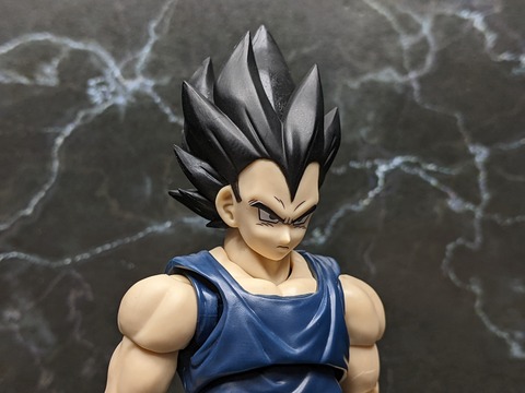 VEGETA SUPER HERO 10