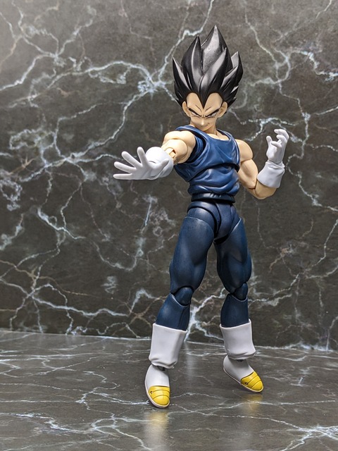 VEGETA SUPER HERO 21