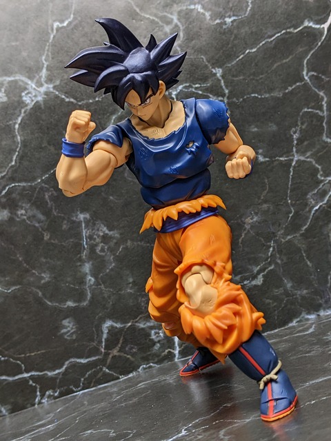 SON GOKU ULTRA INSTINCT _SIGN_ 19