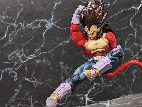 SUPER SAIYAN 4 VEGETA 19
