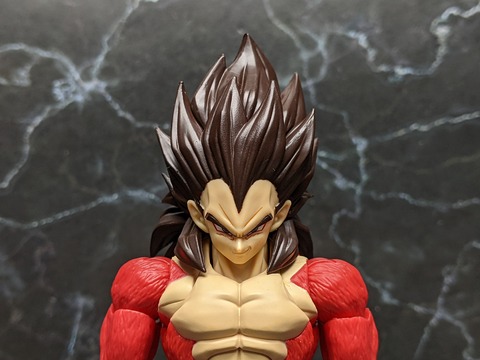 SUPER SAIYAN 4 VEGETA 11