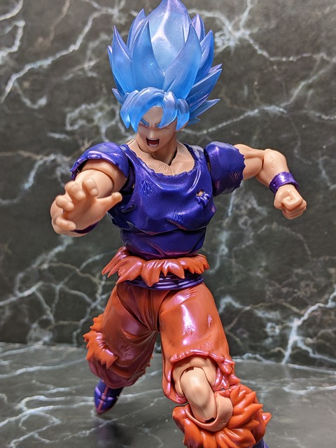 SUPER SAIYAN GOD SUPER SAIYAN SON GOKU KAIO-KEN 24