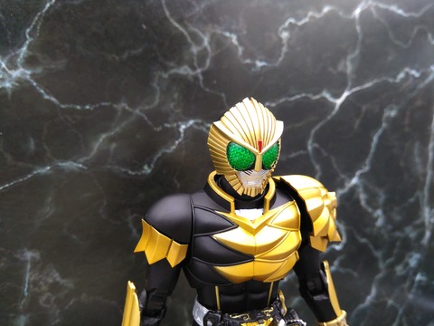 KAMEN RIDER BEAST 14