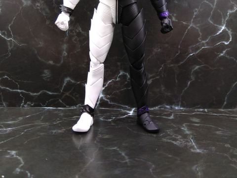 KAMEN RIDER DOUBLE FANGJOKER 12