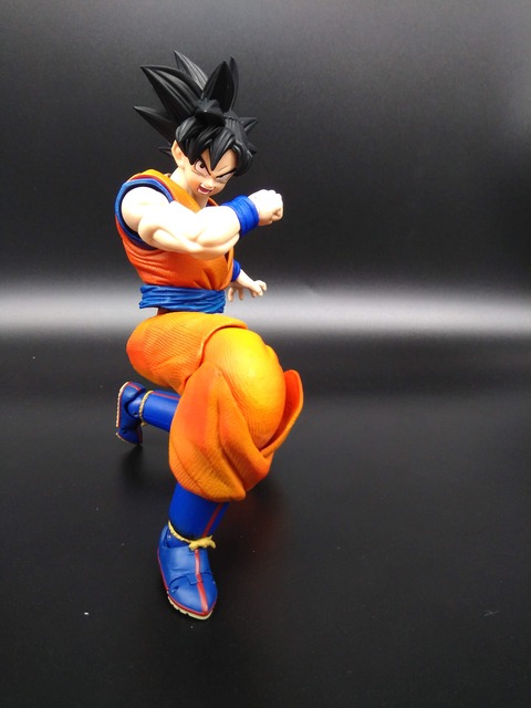 SON GOKU 33