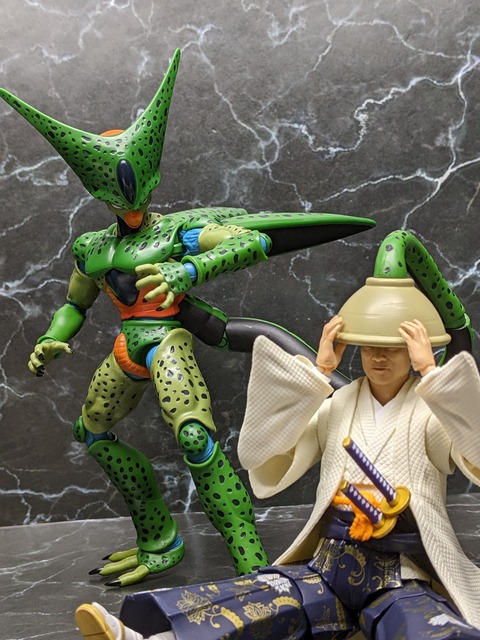 CELL FIRST FORM 25