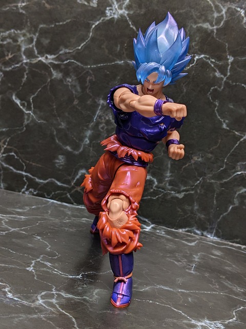 SUPER SAIYAN GOD SUPER SAIYAN SON GOKU KAIO-KEN 25