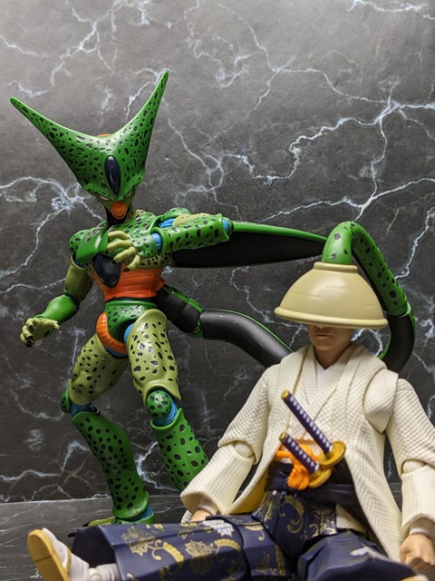 CELL FIRST FORM 26
