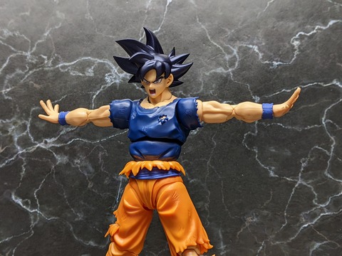 SON GOKU ULTRA INSTINCT _SIGN_ 18