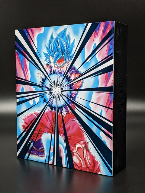 SUPER SAIYAN GOD SUPER SAIYAN SON GOKU KAIO-KEN 08