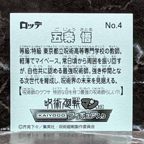 JUJUTSUKAISENMAN KF 33z