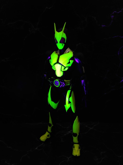 KAMEN RIDER ZERO-ONE RISING HOPPER 25