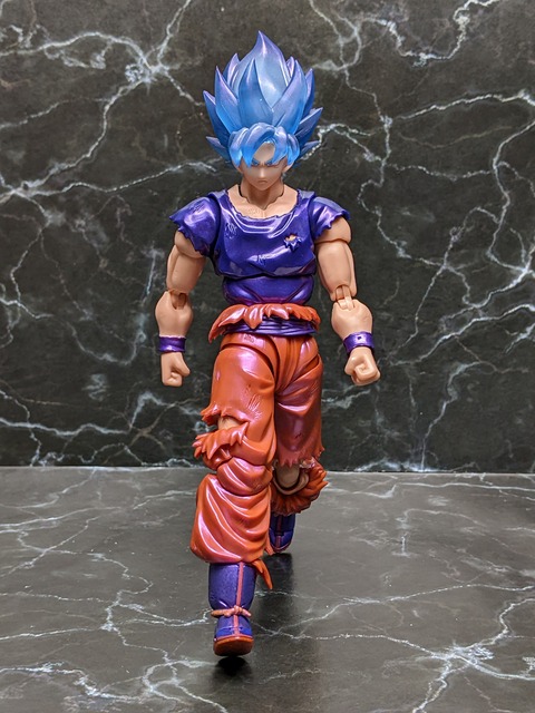 SUPER SAIYAN GOD SUPER SAIYAN SON GOKU KAIO-KEN 29