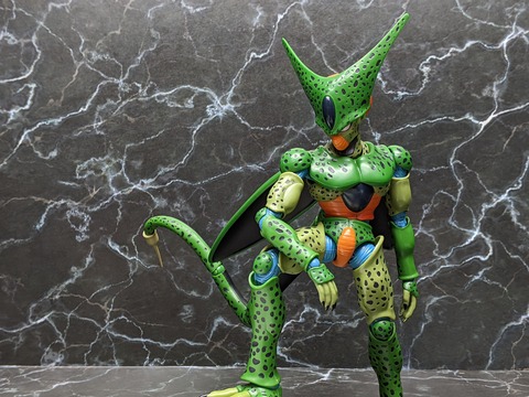 CELL FIRST FORM 17