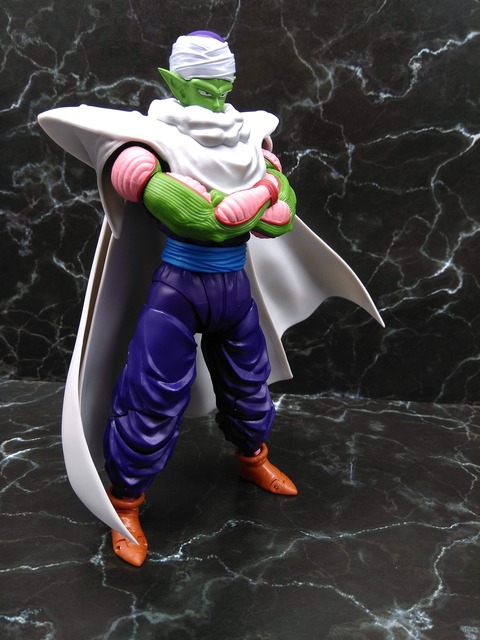 PICCOLO -THE PROUD NAMEKIAN- 19