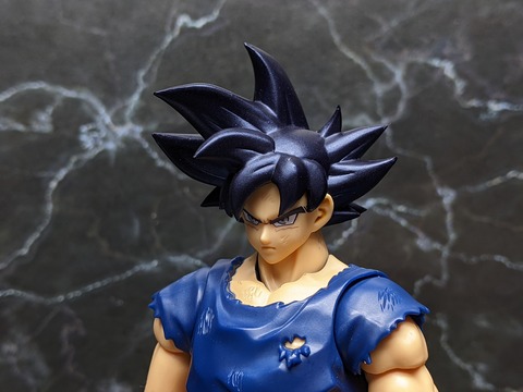 SON GOKU ULTRA INSTINCT _SIGN_ 12