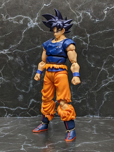 SON GOKU ULTRA INSTINCT _SIGN_ 10